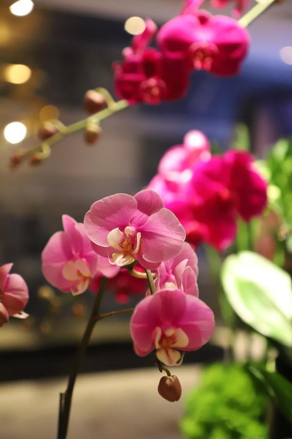 Renaissance Beijing Capital Hotel Ngoại thất bức ảnh