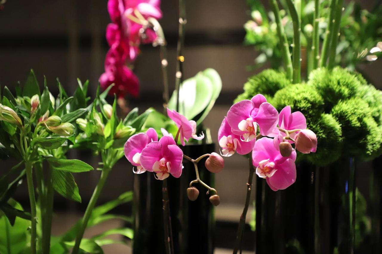 Renaissance Beijing Capital Hotel Ngoại thất bức ảnh